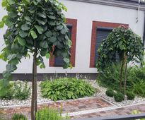 Garden of Three Spaces and Colours alongside Beauty Club Lemone | Czestochowa